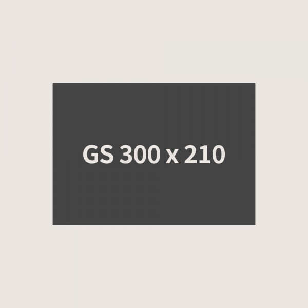 GS-3021
